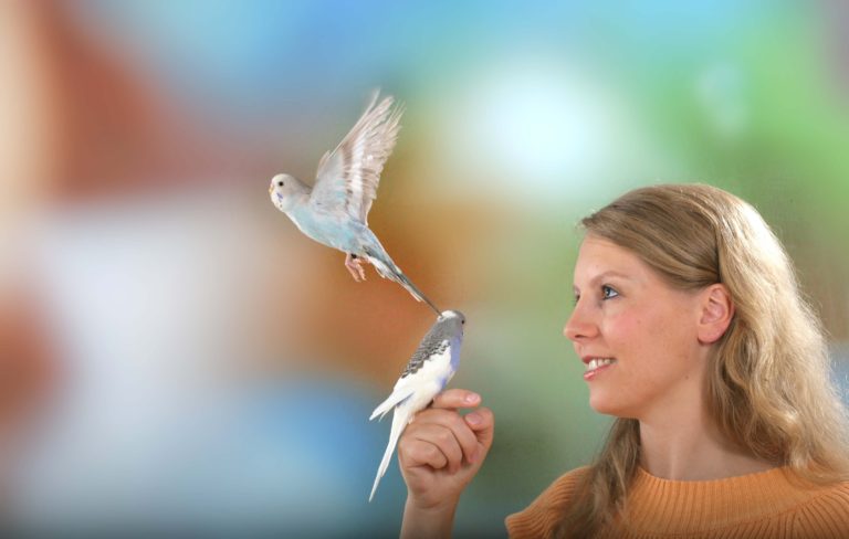 Freiflug Küche