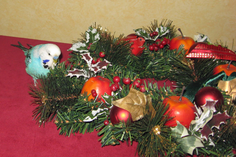 Adventszeit_Gaby_Schulemann-Maier