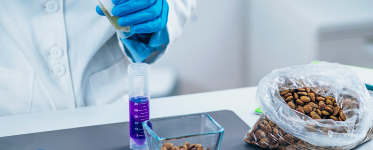 Laborantin mit Handschuhen pipettiert eine Probe neben einem Beutel Trockenfutter
