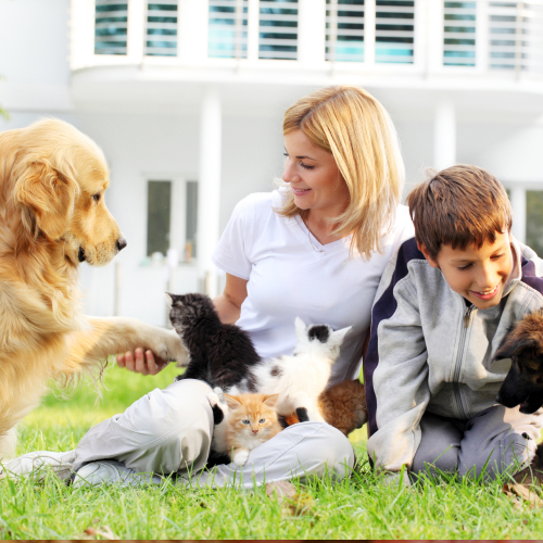 Frau und Junge sitzen im Gras mit Golden Retriever, Kätzchen und einem Welpen
