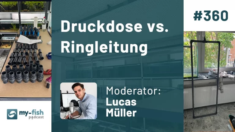 my-fish Podcast Folge 360: Druckdose vs. Ringleitung, Moderator Lucas Müller