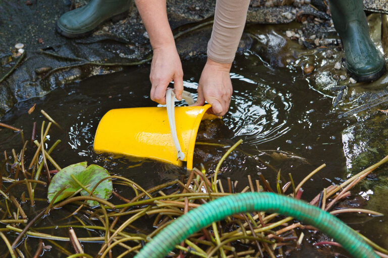 Reinigung und Pflege des Gartenteiches nach der Winterpause sind wichtig. Copyright: Adobe/dmdartworx