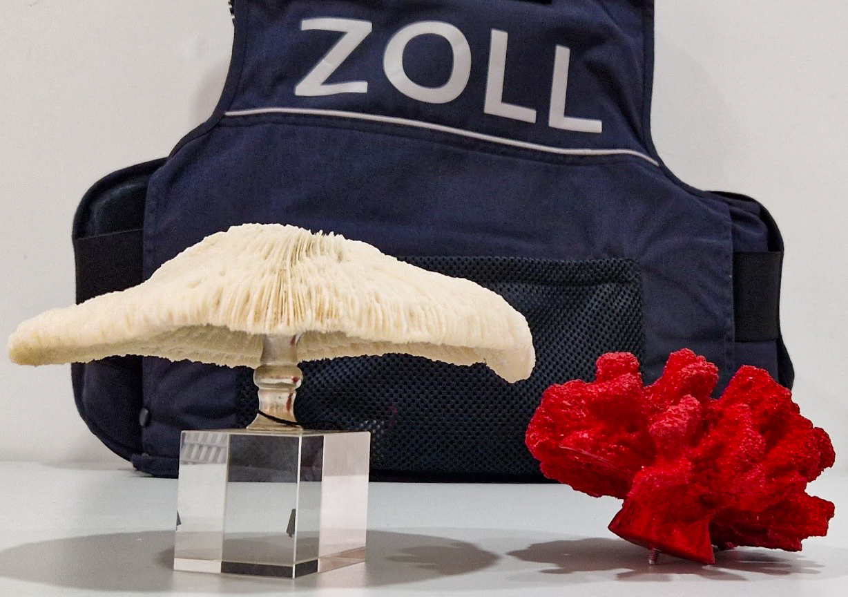 Bei der Heimreise können tierische und pflanzliche Souvenirs zum Problem werden. Copyright: Zoll