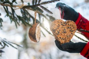 Wer eine Futterauswahl anbietet, macht den Garten zum Treffpunkt für Wildvögel.