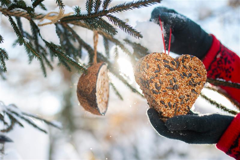 Wer eine Futterauswahl anbietet, macht den Garten zum Treffpunkt für Wildvögel.