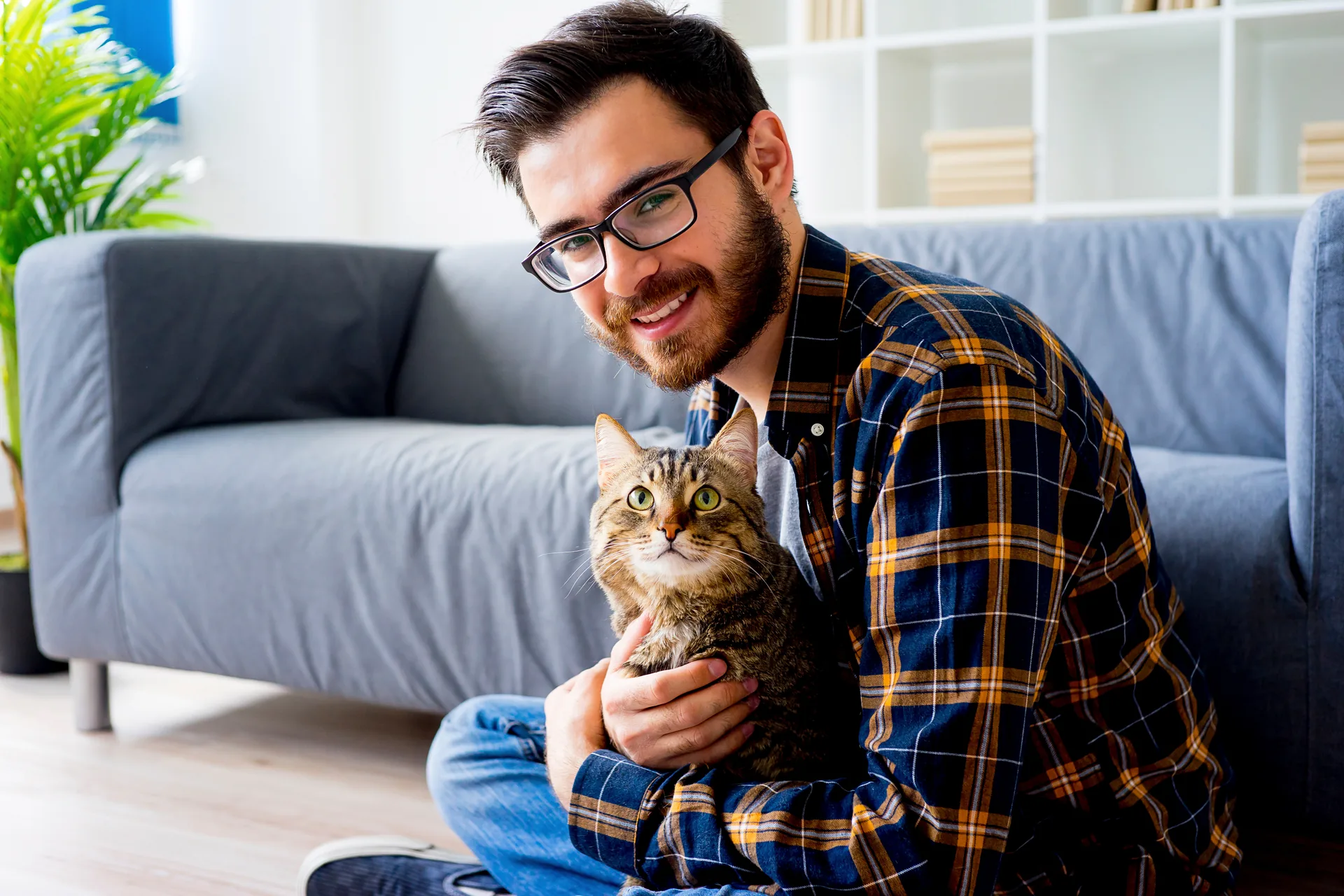 Junge Frau streichelt eine getigerte Katze, die entspannt auf weißer Decke liegt