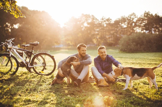 Zwei Männer sitzen mit ihren Hunden im Park in der Abendsonne