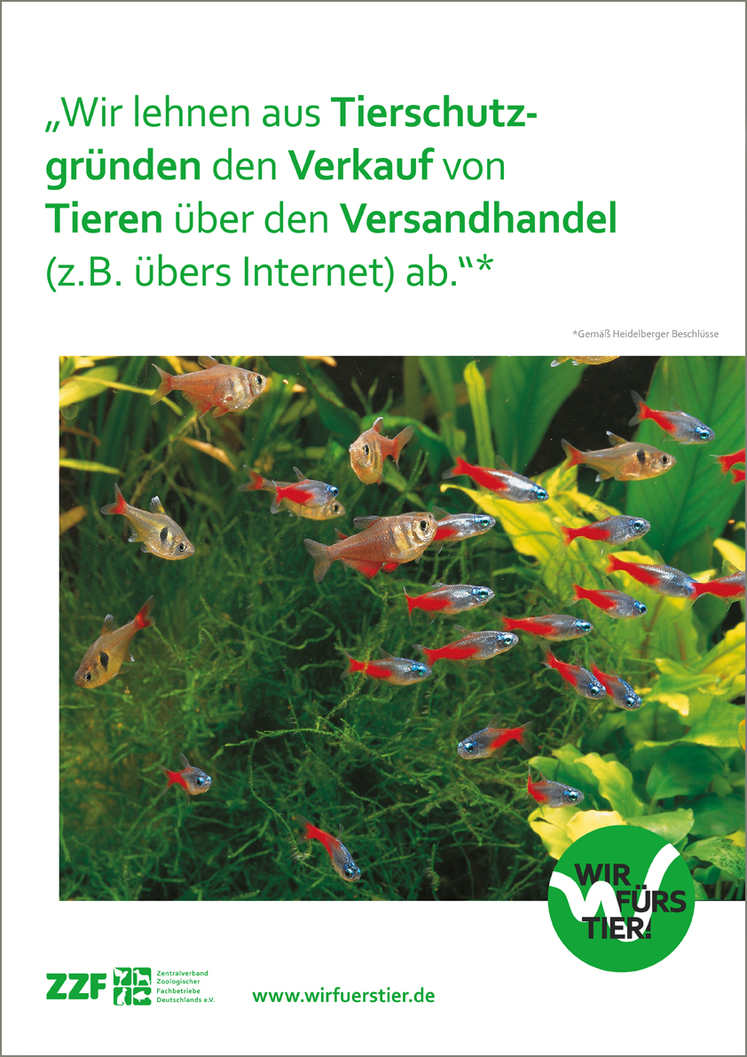 Plakat_Aquaristik