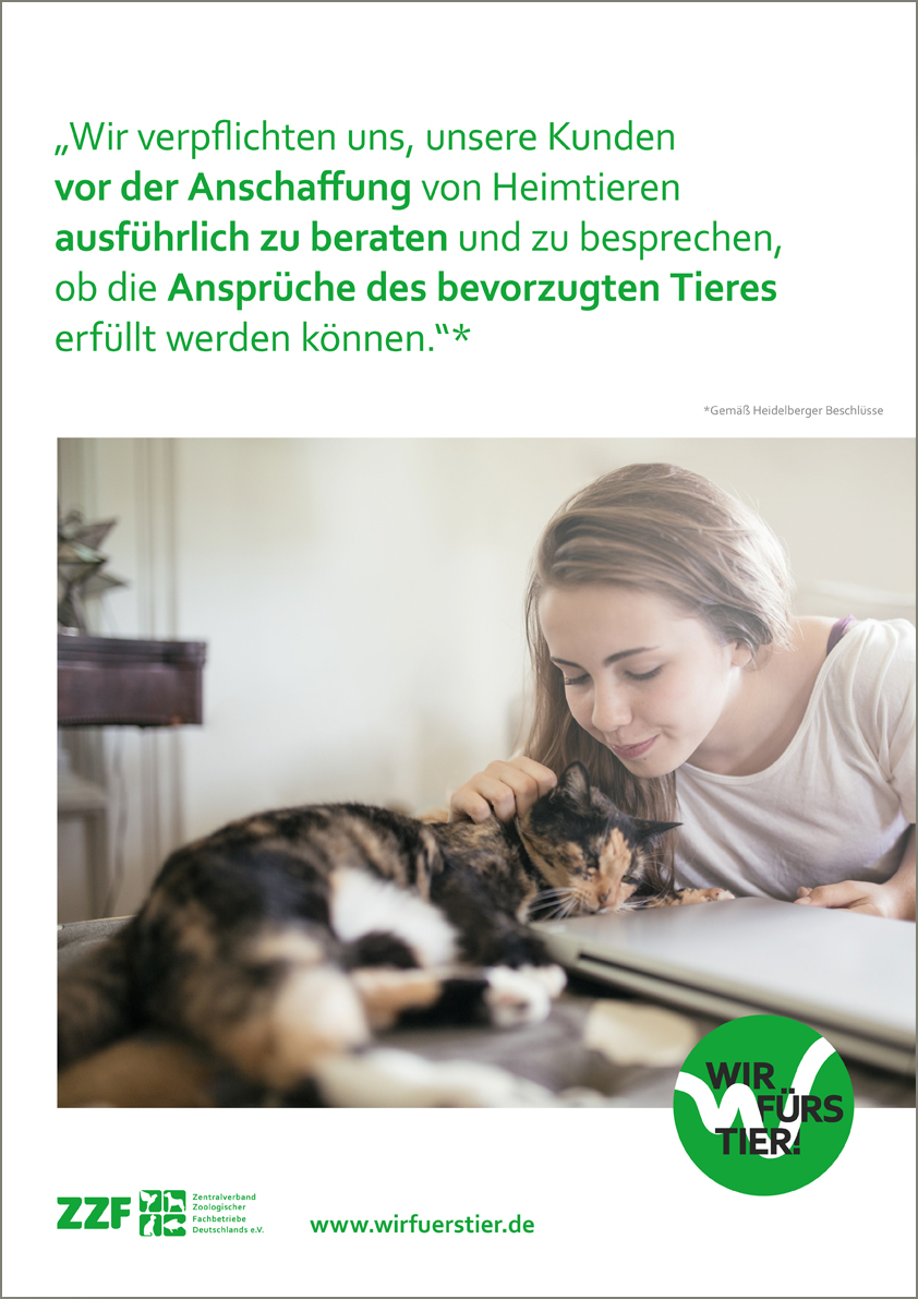 Plakat_Katze