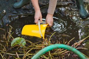 Reinigung und Pflege des Gartenteiches nach der Winterpause sind wichtig. Copyright: Adobe/dmdartworx